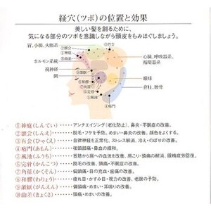 頭皮のツボは50種類以上！？