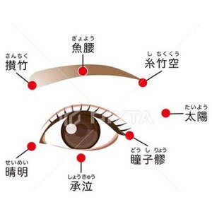 眉毛は老廃物の宝庫？